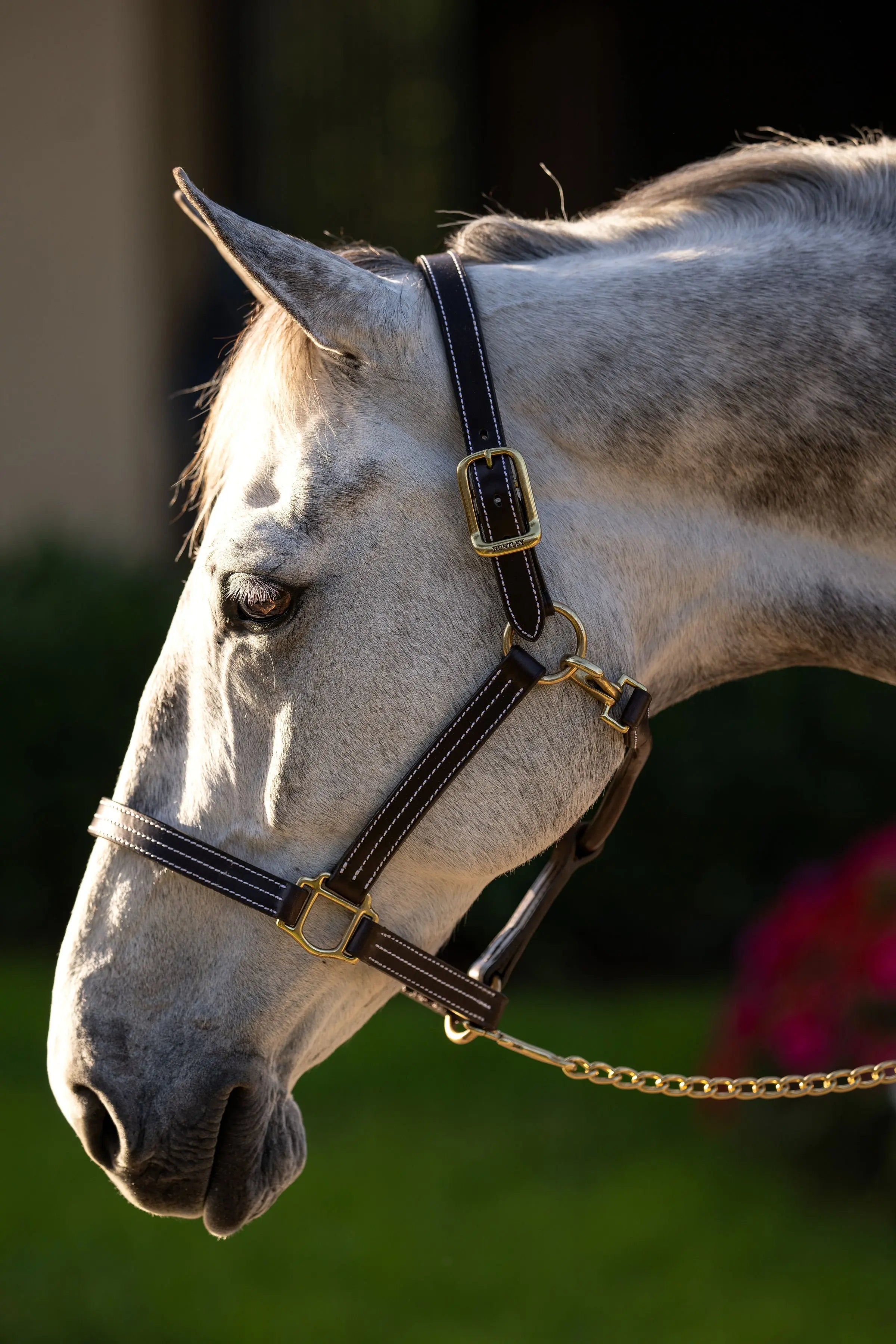 Huntley Equestrian