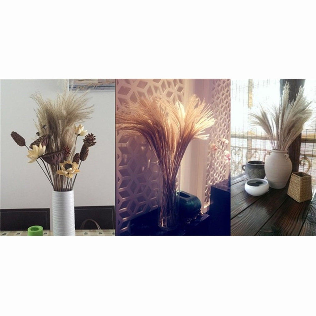 30/50pcs Bulrush Natural Dried Small Pampas Grass Artificial Decor Wedding Flower Bunch Home Office  Floor Vase Filler for Living Room Kitchen And Event Decoration