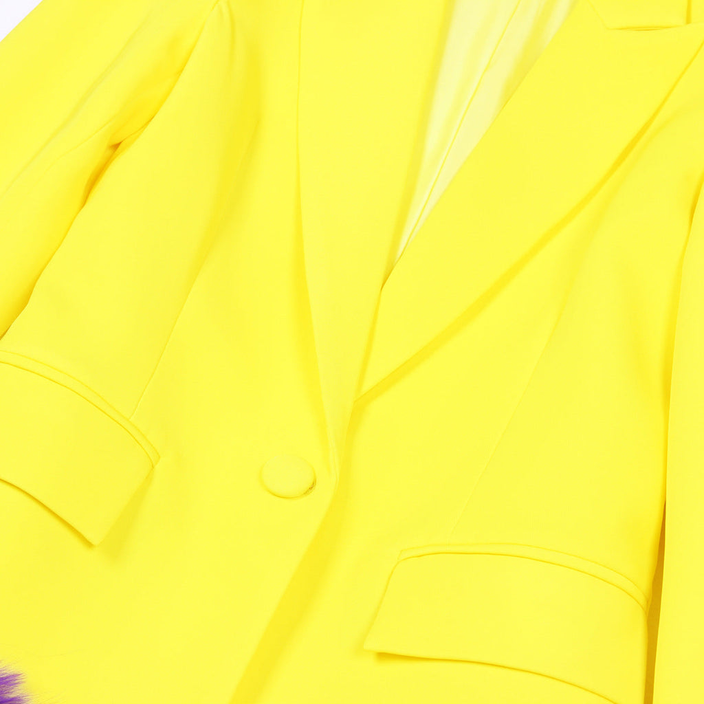 Women's Autumn And Winter Detachable Feather Fashion Tops Coat
