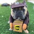 Funny Express Pet Dog Cat Clothes
