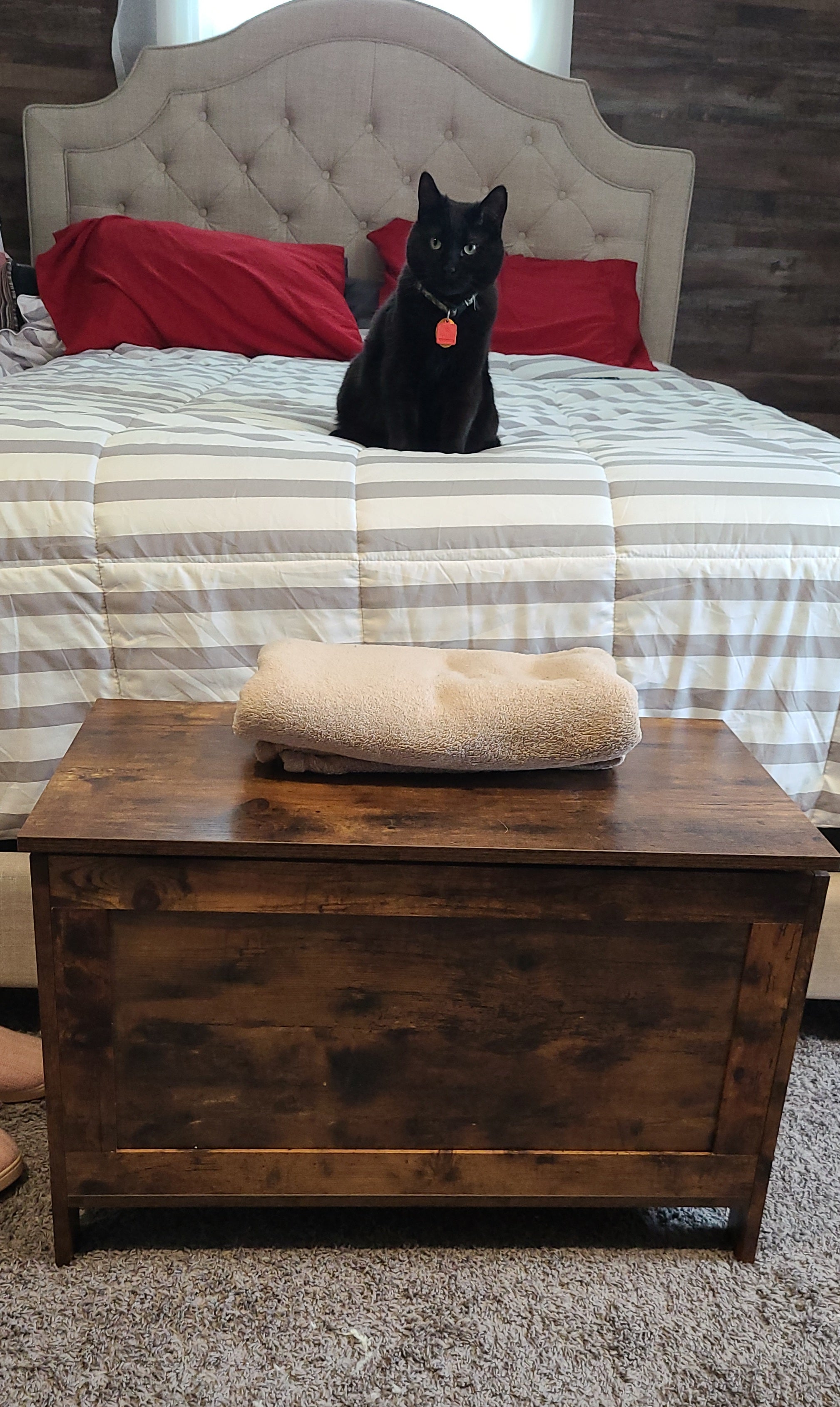 Storage Chest Sturdy Entryway Storage Bench, Wood Look Accent Furniture, Easy Assembly Oak White