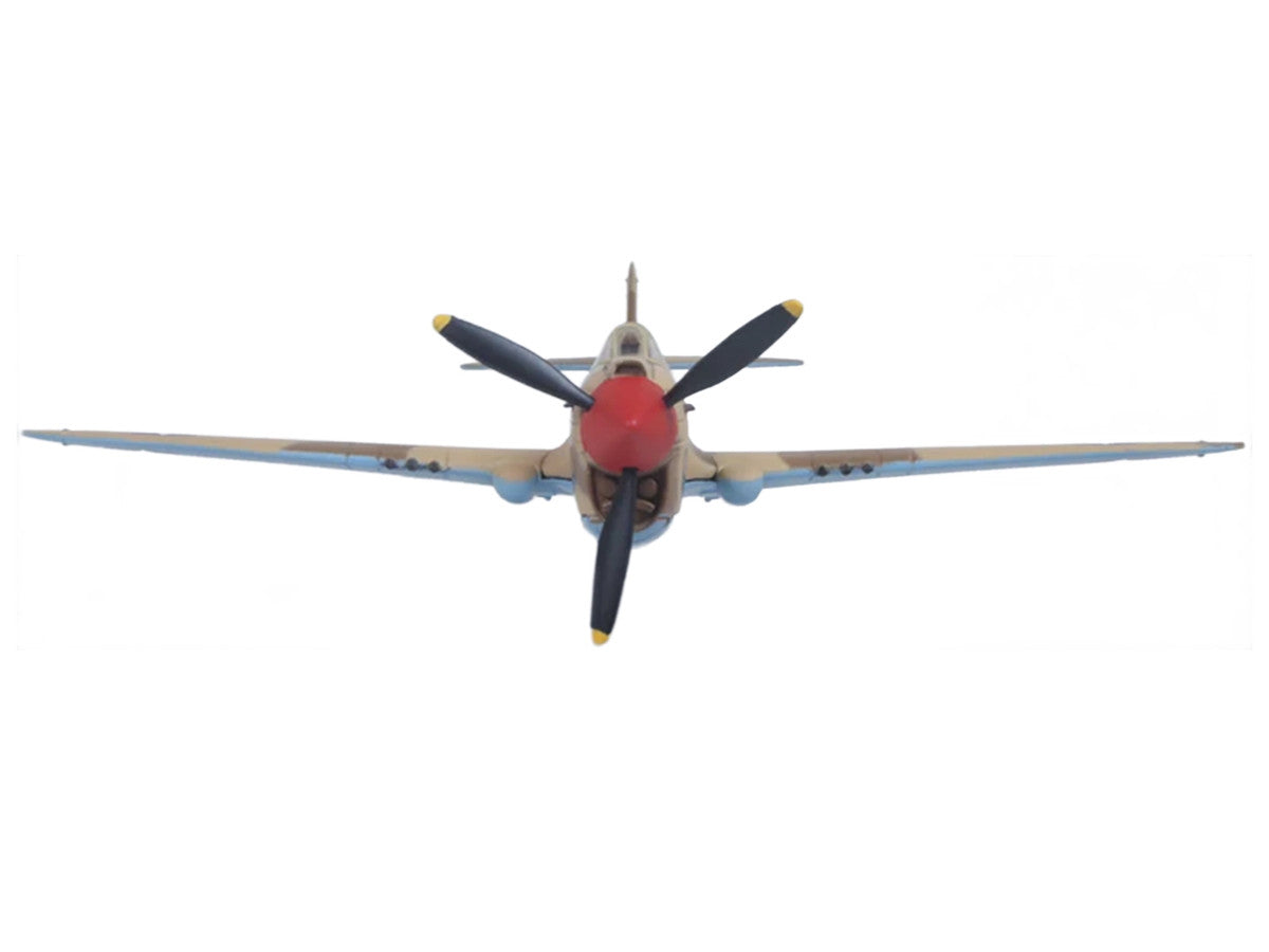 Curtiss Warhawk P-40E Fighter Aircraft "Miss Memphis 85th Fighter Squadron 79th Fighter Group North Africa" (1943) United States Army Air Forces "Oxford Aviation" Series 1/72 Diecast Model Airplane by Oxford Diecast
