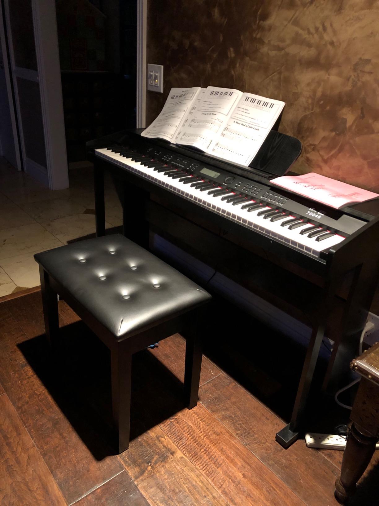 Padded Wooden Piano Bench with Music Storage Black
