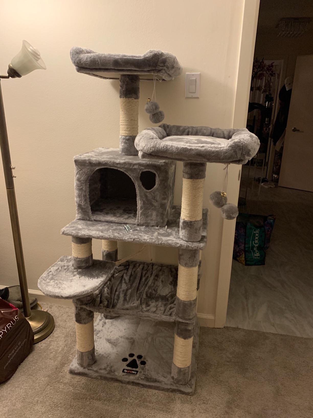 Cat Tree with Sisal-Covered Scratching Posts | Plush Perches | 55" Multi-Level