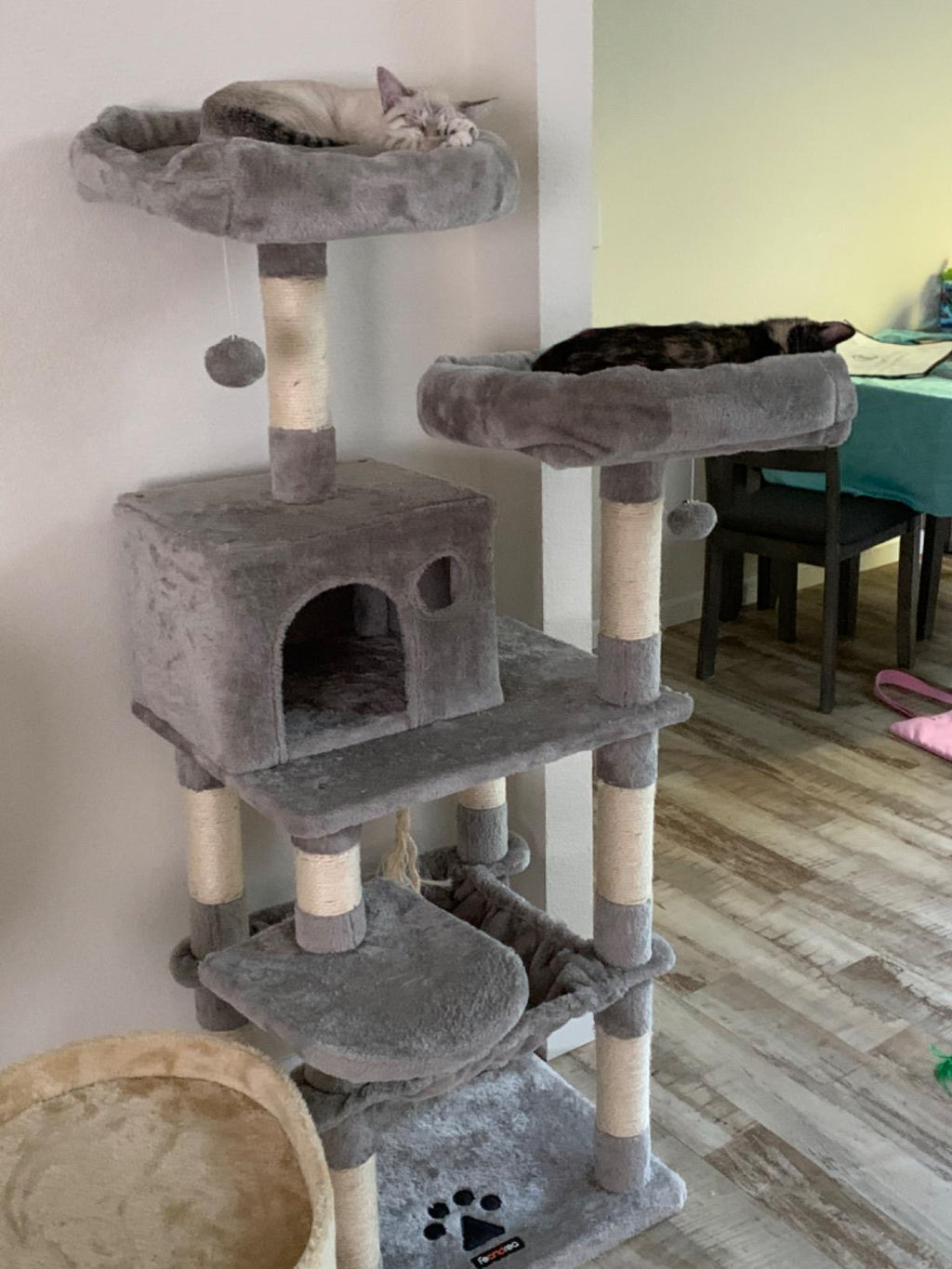 Cat Tree with Sisal-Covered Scratching Posts | Plush Perches | 55" Multi-Level