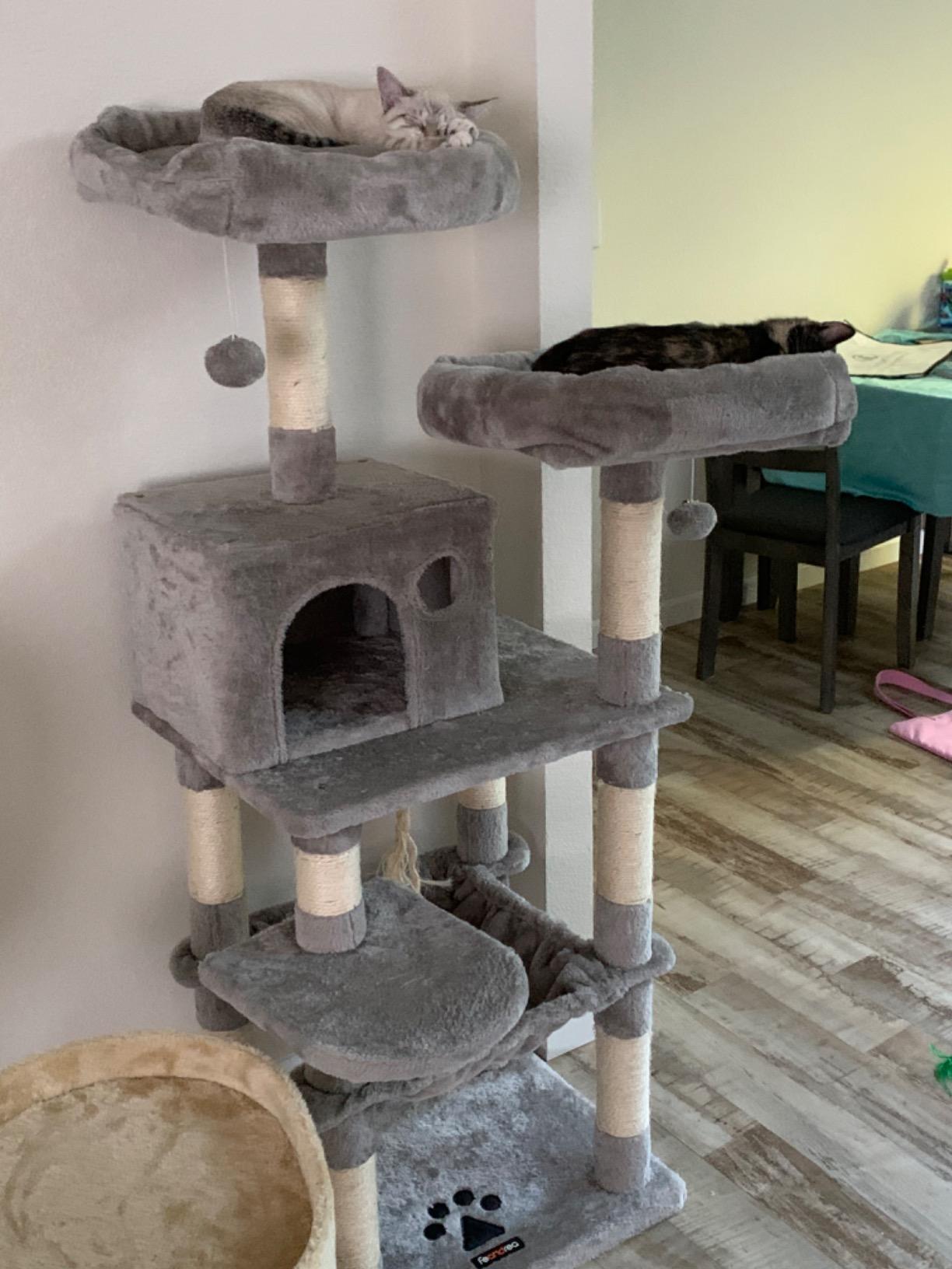 Cat Tree with Sisal-Covered Scratching Posts | Plush Perches | 55" Multi-Level