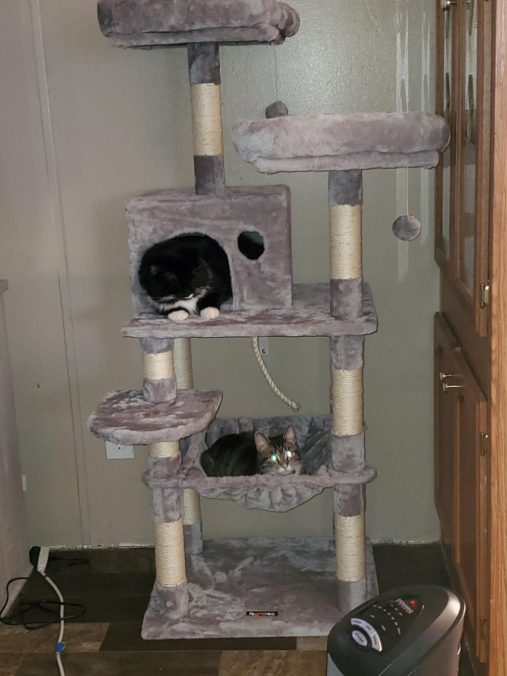 Cat Tree with Sisal-Covered Scratching Posts | Plush Perches | 55" Multi-Level