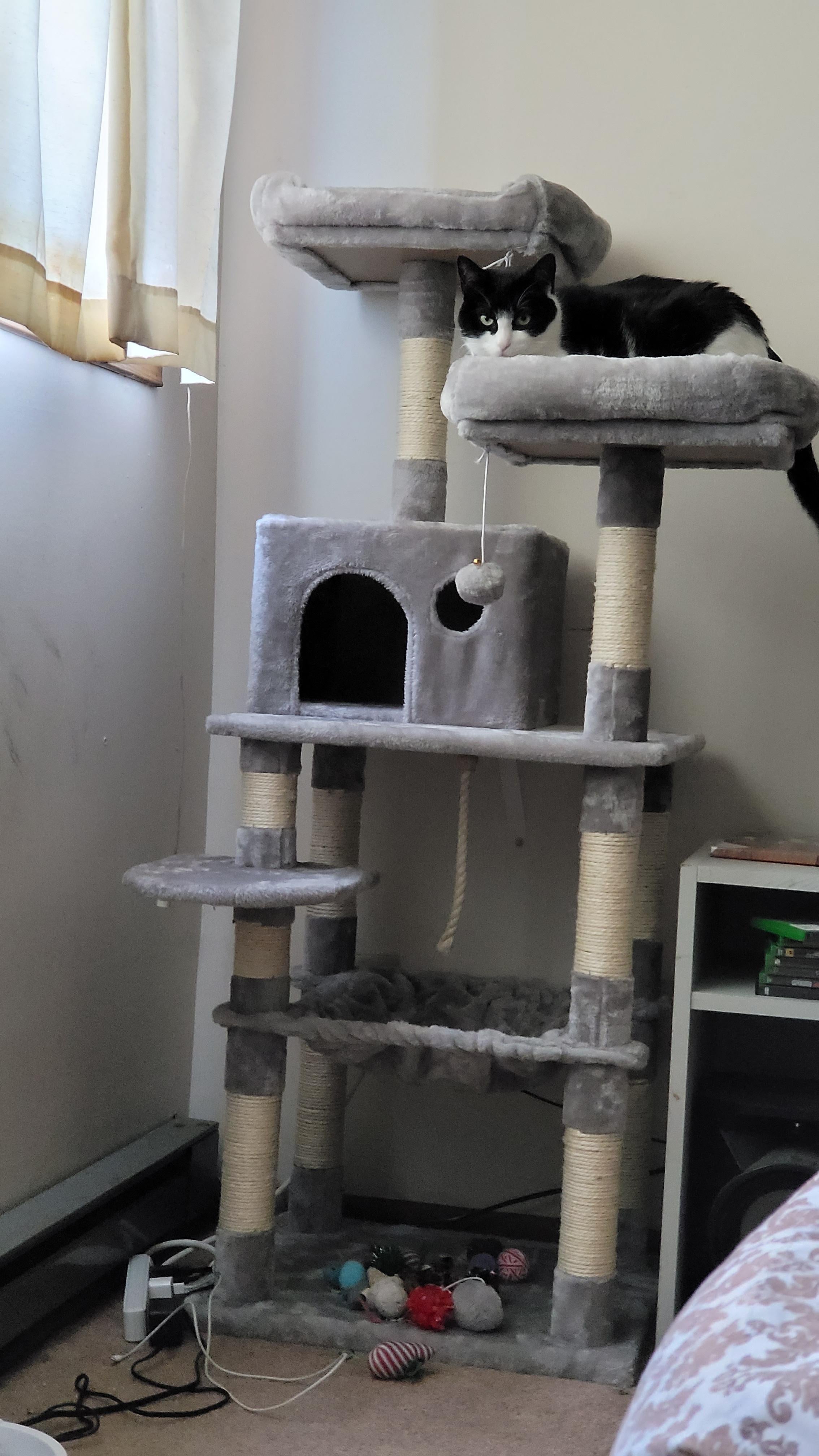 Cat Tree with Sisal-Covered Scratching Posts | Plush Perches | 55" Multi-Level