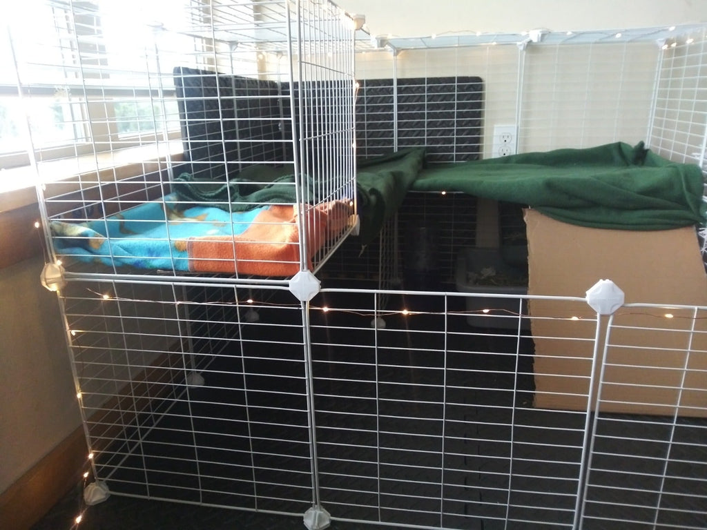 Pet Playpen Includes Cable Ties, Metal Wire Apartment-Style Two-Storey Bunny Fence and Kennel