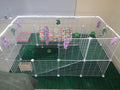 Pet Playpen Includes Cable Ties, Metal Wire Apartment-Style Two-Storey Bunny Fence and Kennel