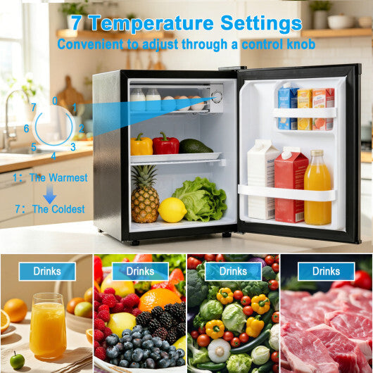 Compact Mini Fridge with 7-Level Adjustable Thermostat-Silver
