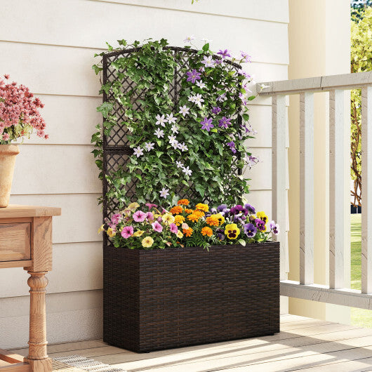 49 Inch Raised Garden Bed with Trellis and Wicker Planter Box-Brown