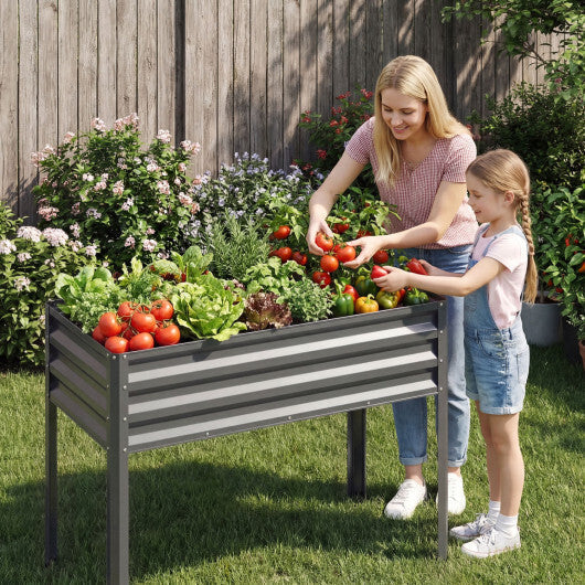 Raised Garden Bed Set of 2 Electro-Coating Metal Large Elevated Planter Box-Silver