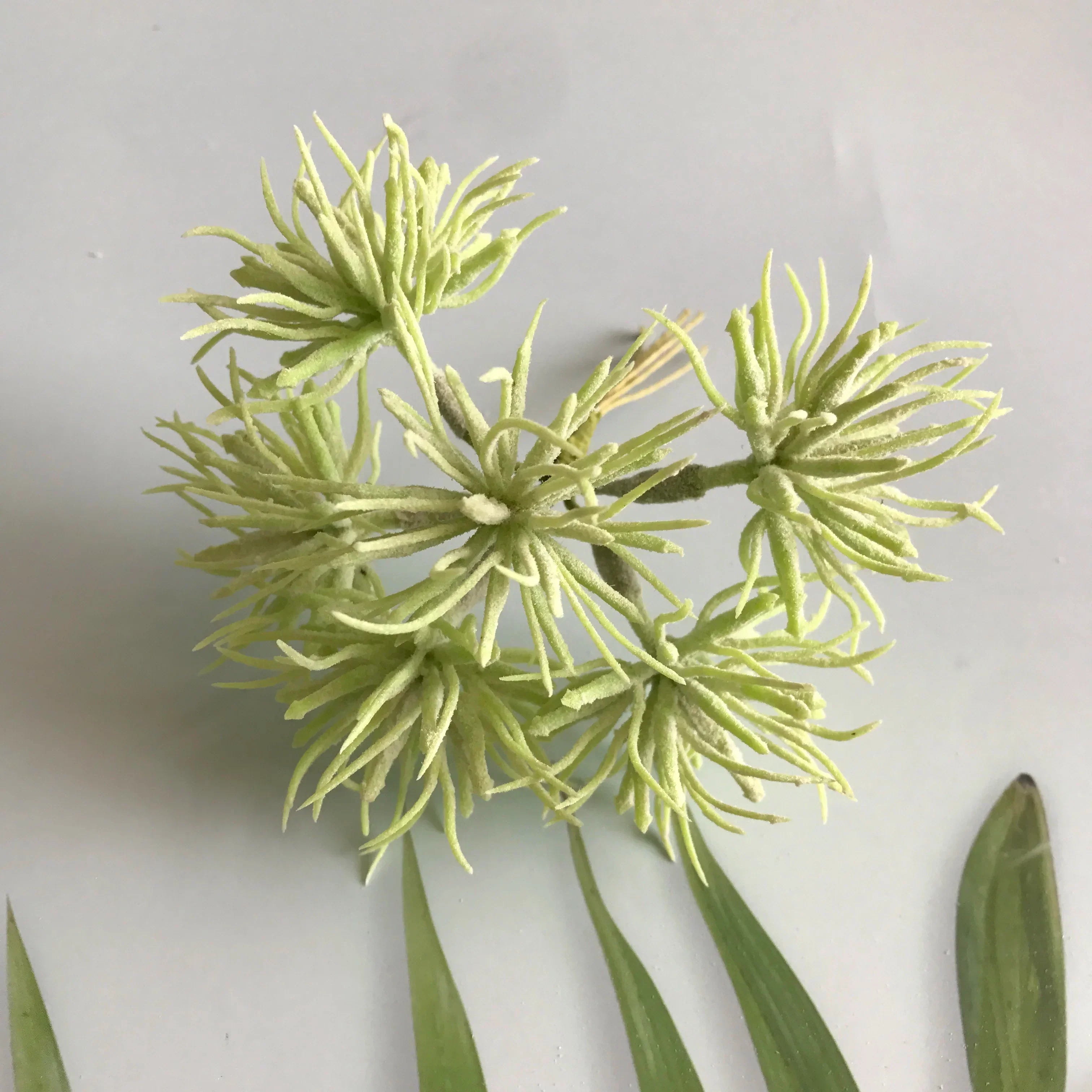 DecorBites™ Greenery Berry Stamen Bundle for DIY Christmas Decor & Gift Wrapping