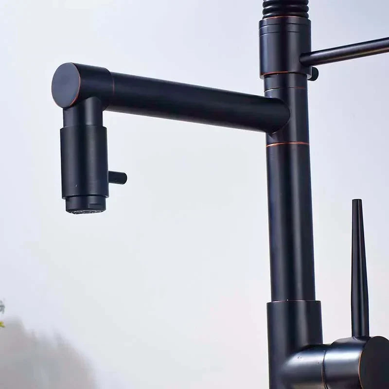 DecorBites™ Black Bronze Dual Spout Kitchen Faucet with Pull Down Sprayer