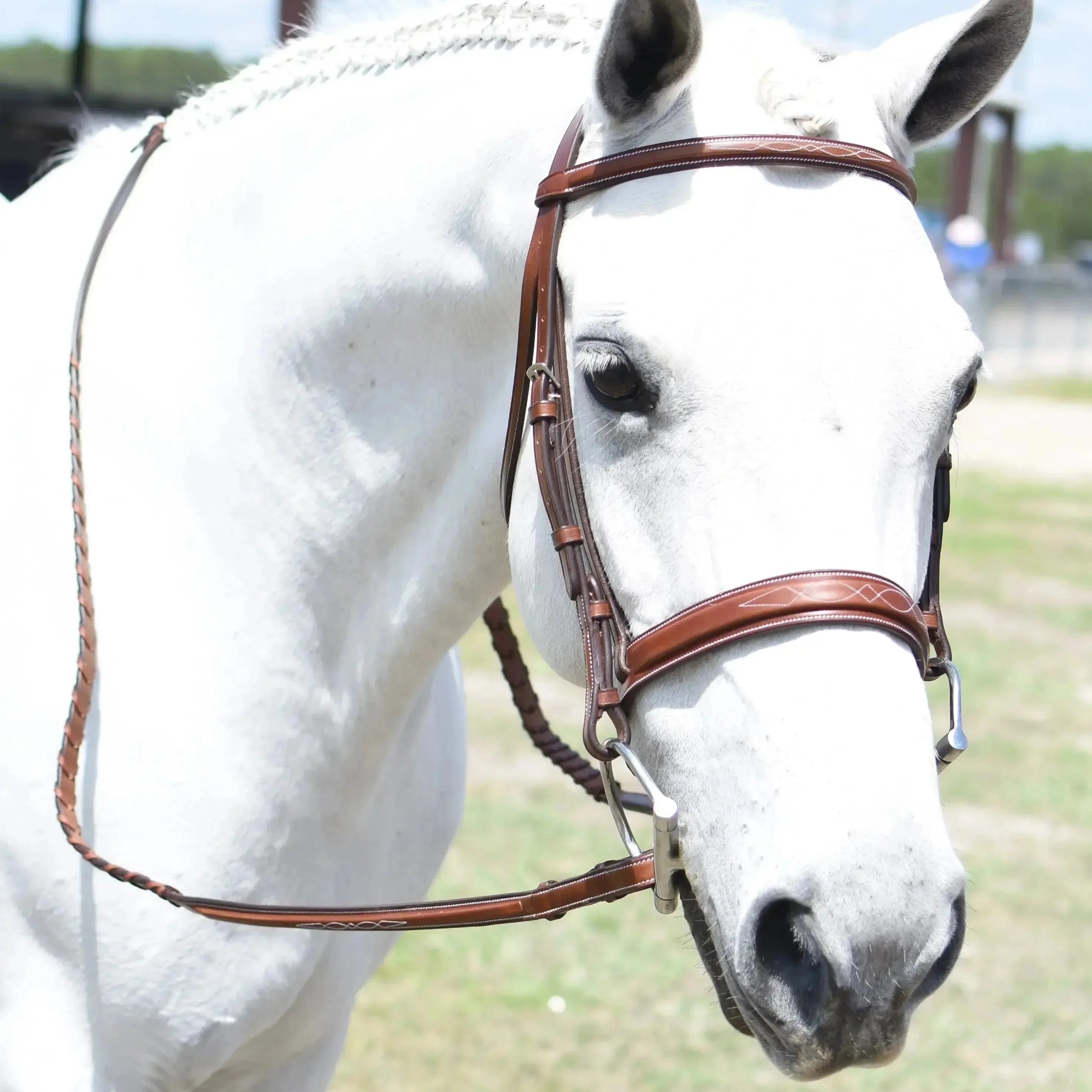 Huntley Equestrian Sedgwick Fancy Stitched Square Raised Hunter Horse Bridle with Reins