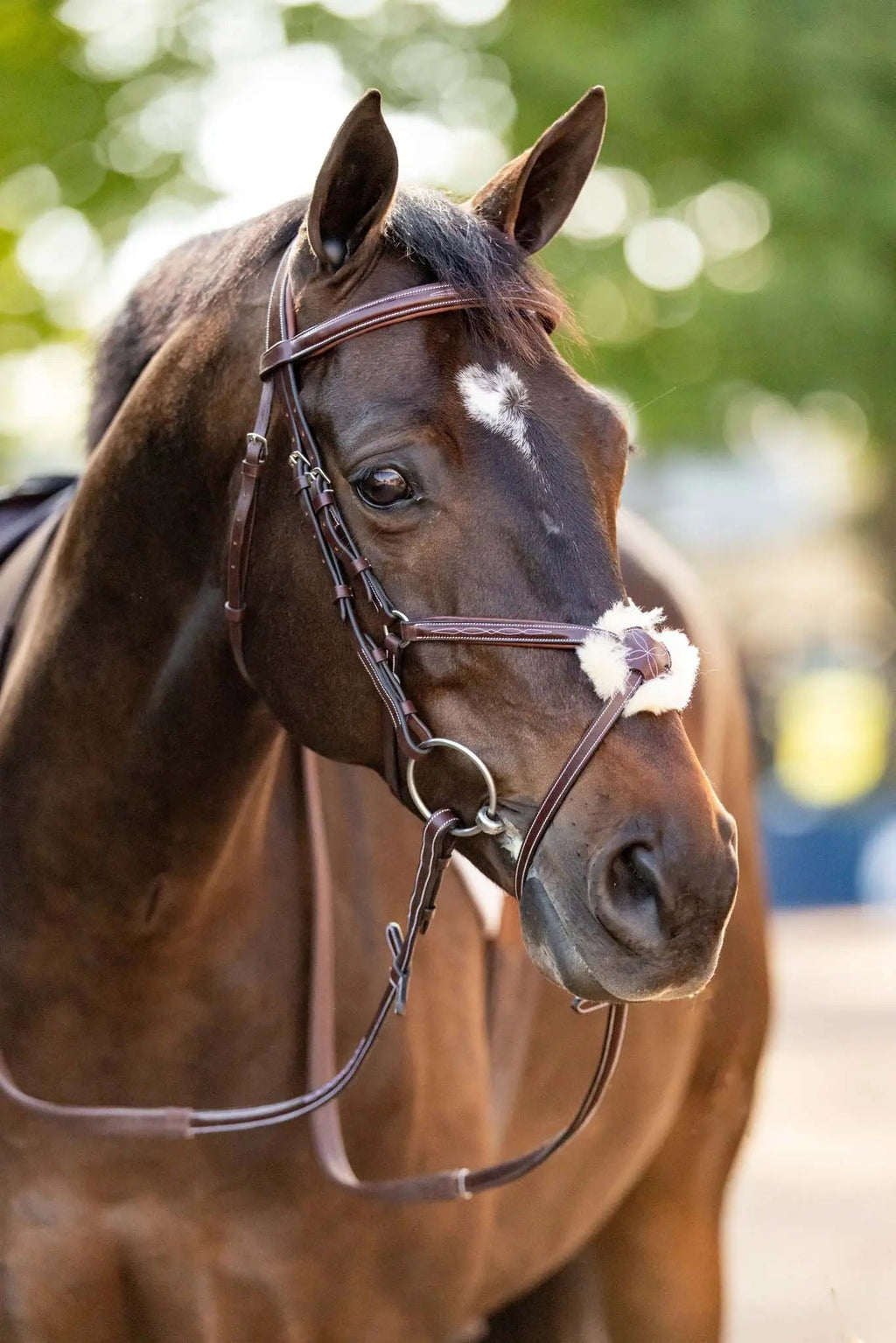 Huntley Equestrian Sedgwick Leather Padded Monocrown Figure 8 Bridle