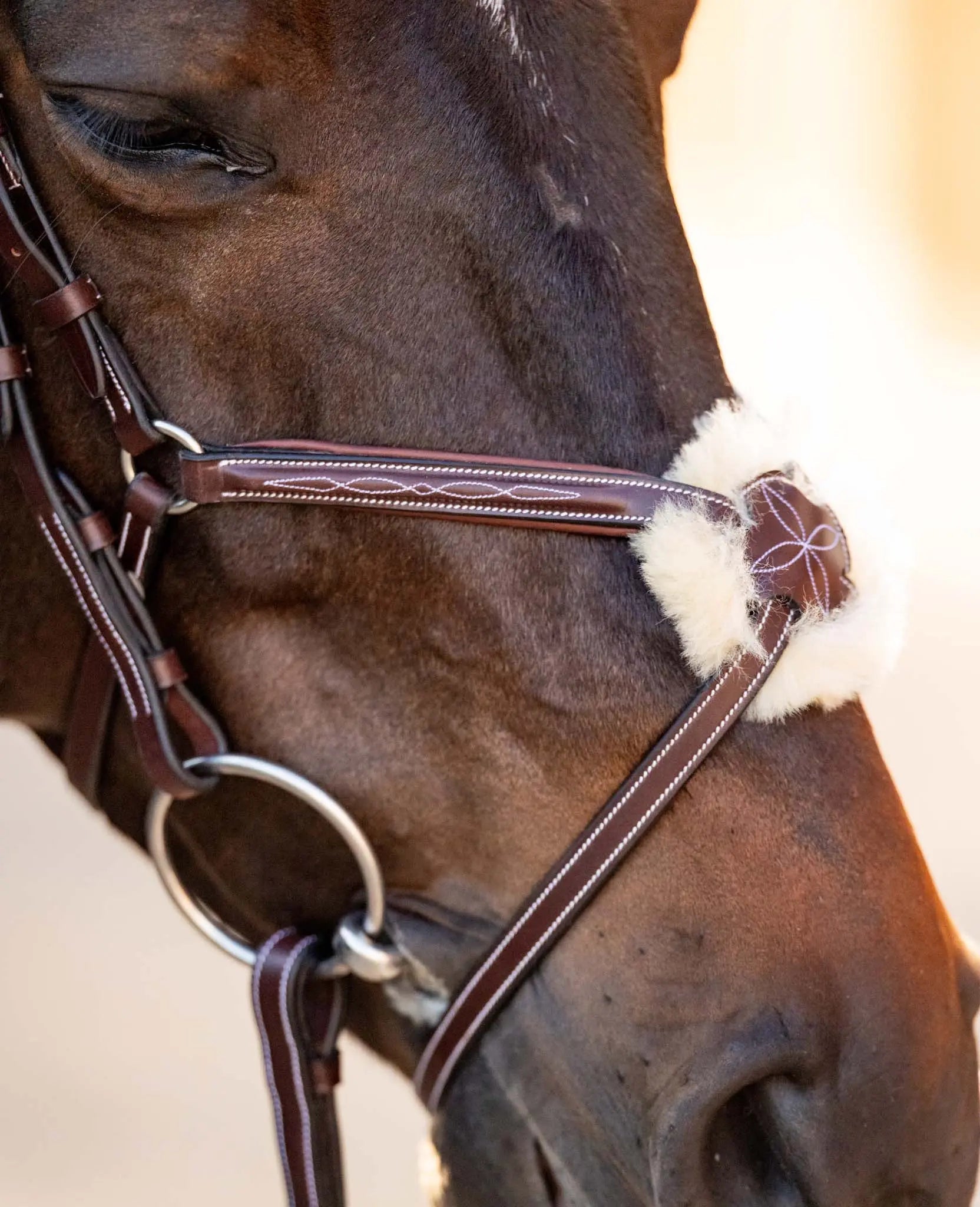 Huntley Equestrian Sedgwick Leather Padded Monocrown Figure 8 Bridle
