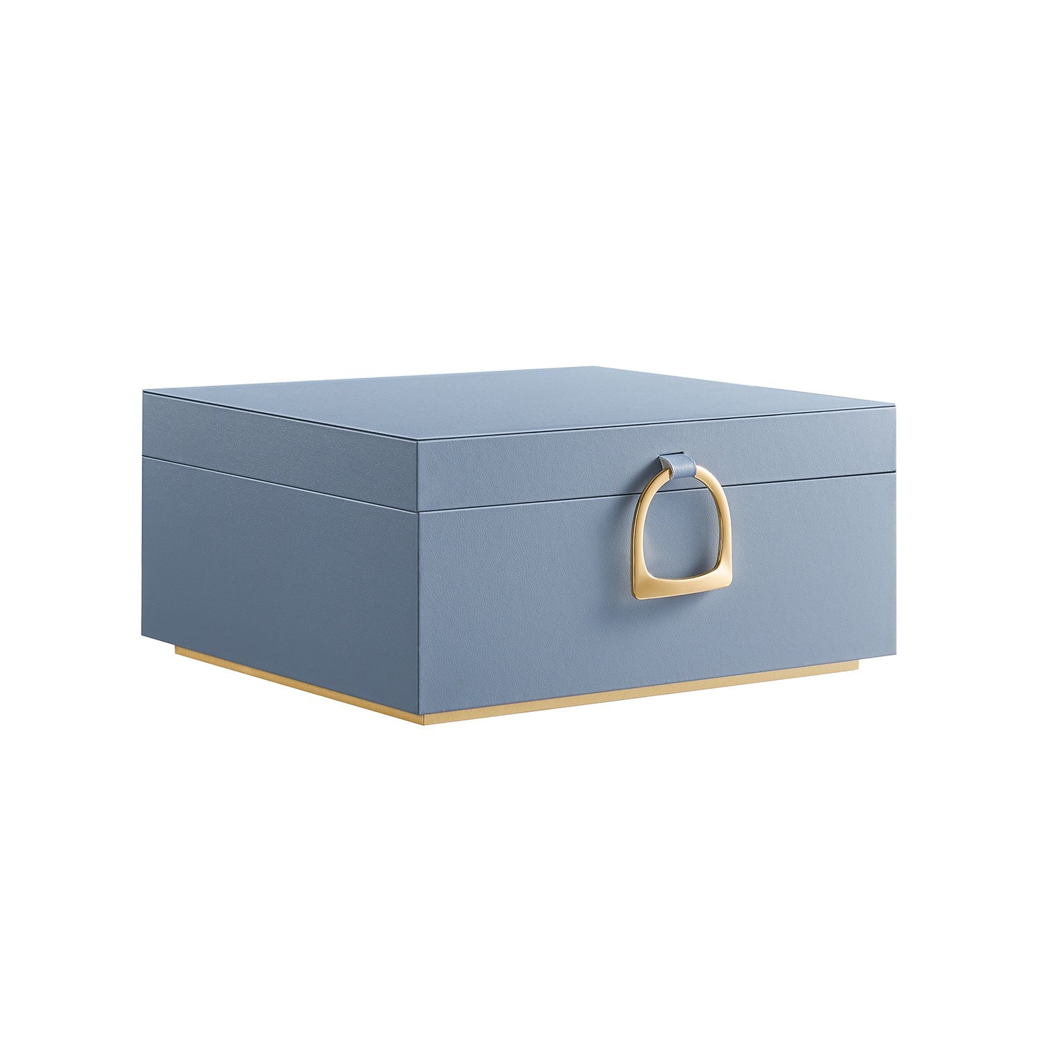2-Layer Jewelry Box with Handle and Removable Jewelry Tray