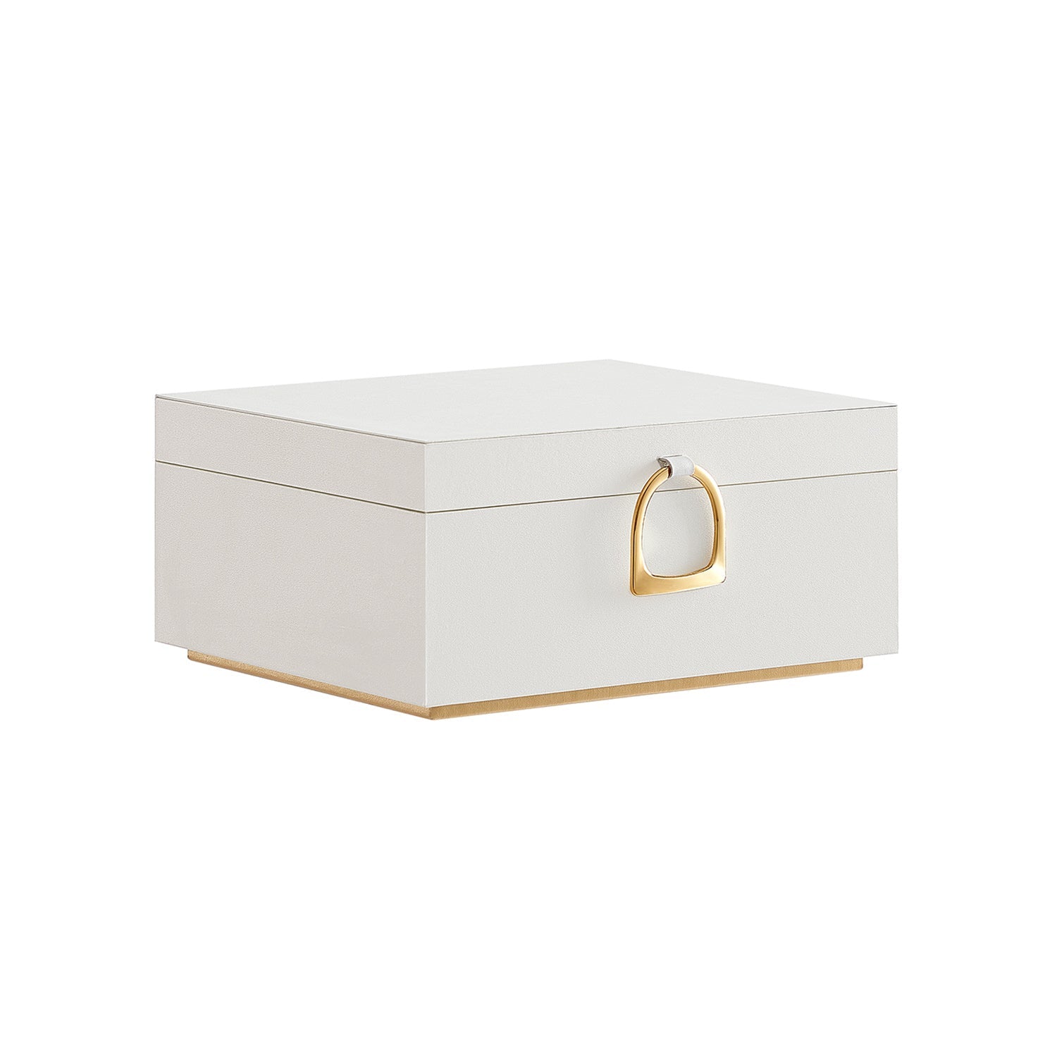 2-Layer Jewelry Box with Handle and Removable Jewelry Tray
