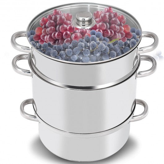 11-Quart Stainless Steel Pan Fruit Juicer Steamer - Color: Silver