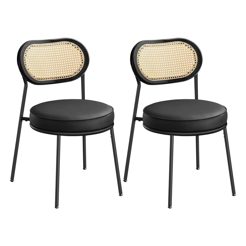 Dining Chairs, Set of 2 Accent Chair, Ink Black