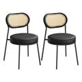 Dining Chairs, Set of 2 Accent Chair, Ink Black
