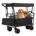 Collapsible Wagon with Removable Canopy and Adjustable Handles-Black