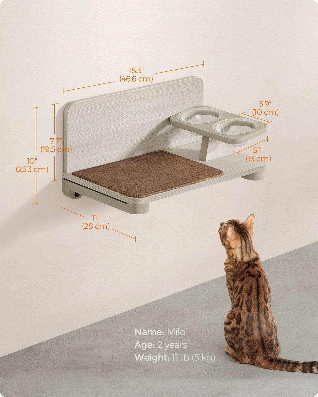 Collection - No.009 Cat Food Station for Wall