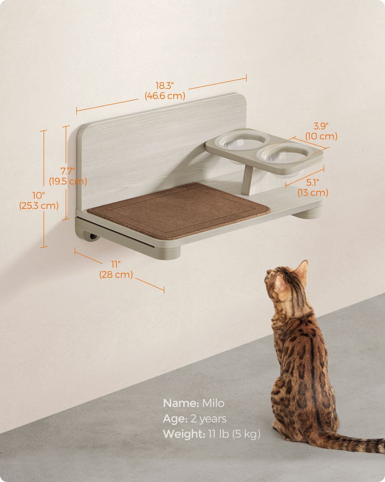 Collection - No.009 Cat Food Station for Wall