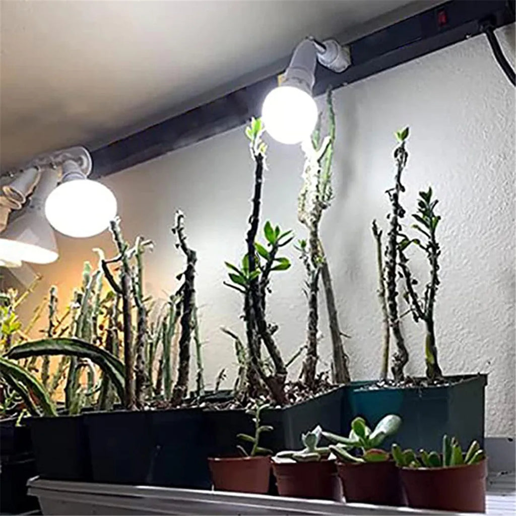 DecorBites™ Dimmable LED Ceiling Track Lighting Fixture for Highlighting Art & Exhibitions