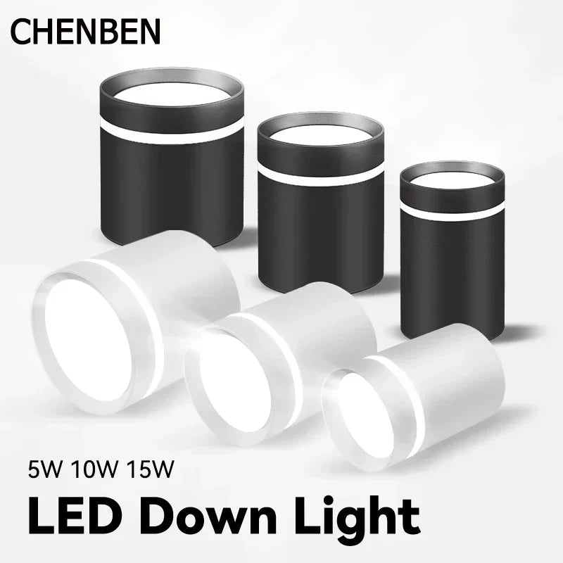 DecorBites™ LED Ceiling Chandelier Downlight for Home Lighting