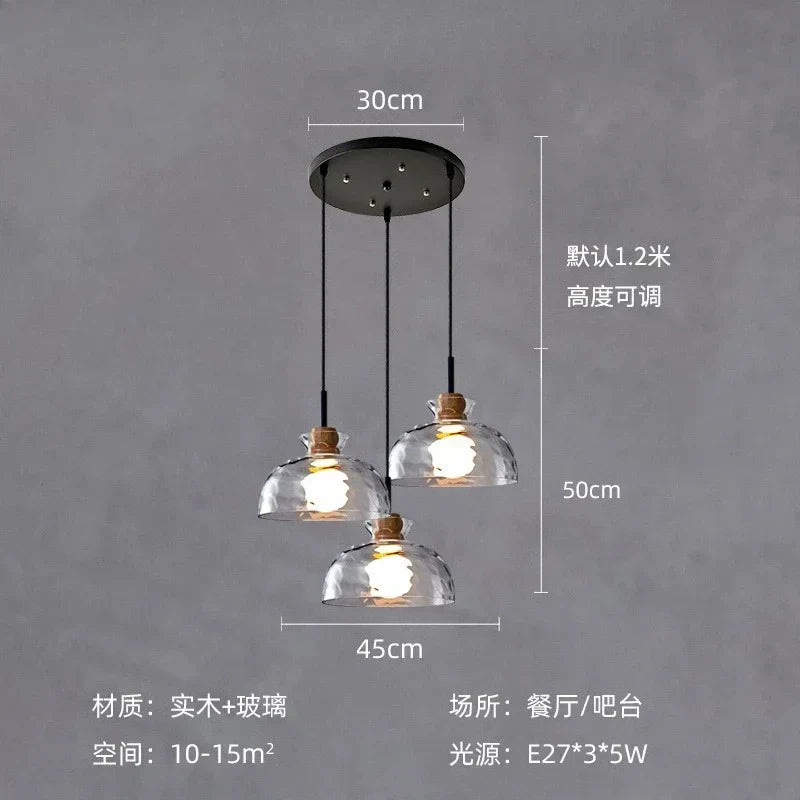 DecorBites™ Clear Glass Pendant Lamp with LED Lights for Home Decor