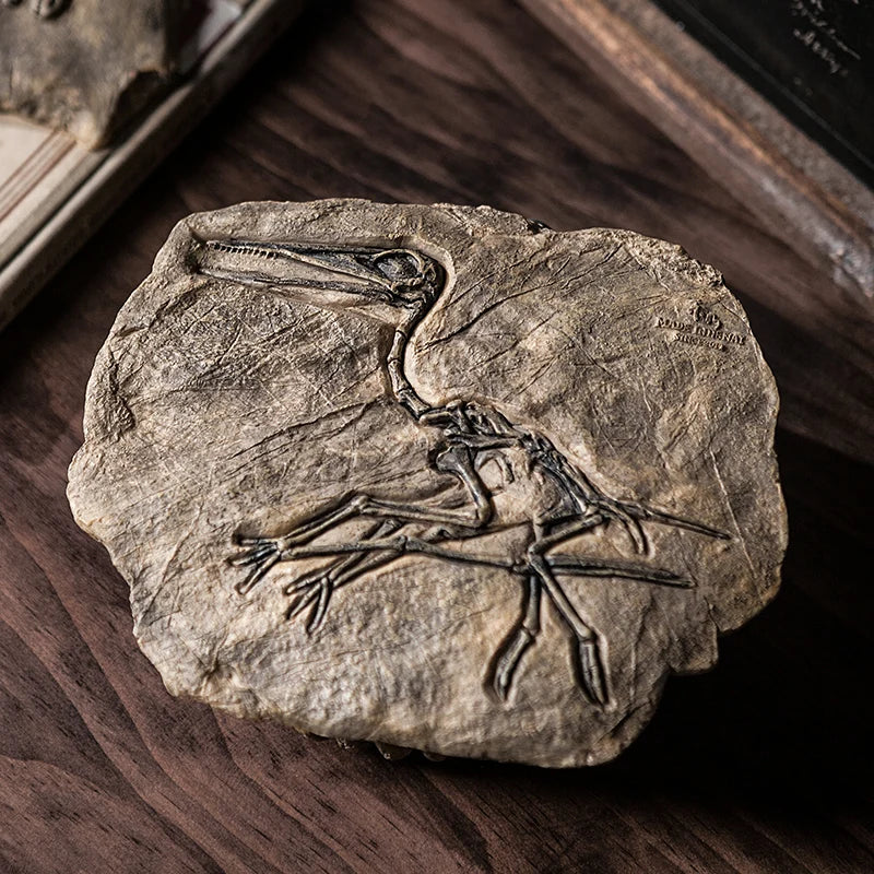 DecorBites™ Dinosaur Fossil Resin Craft Figurine | Home Office Sculpture Decoration