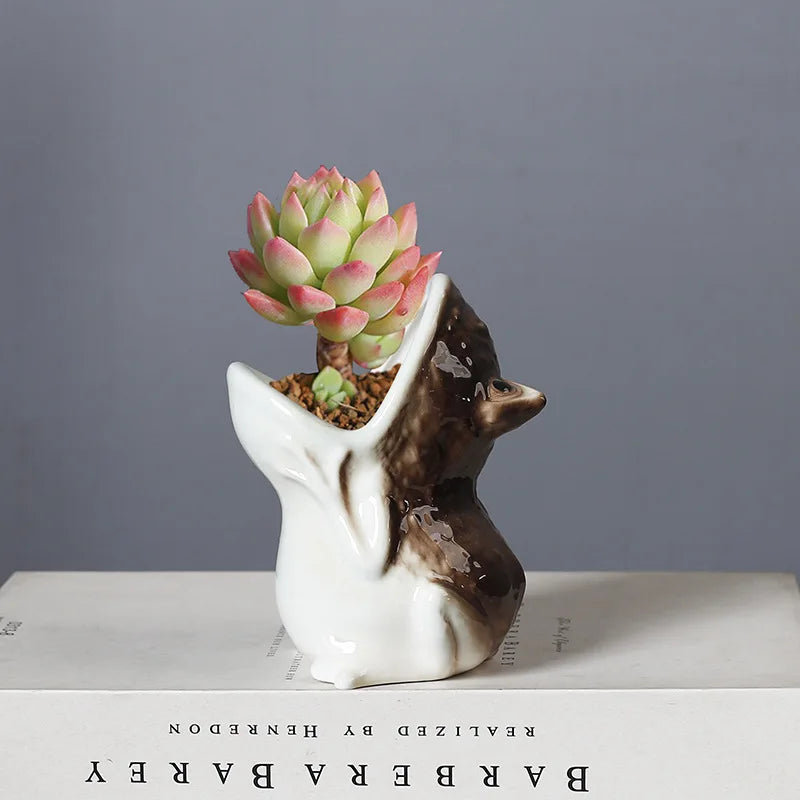 DecorBites™ Cute Frog Succulent Flower Pot Ceramic Garden Plant Pot Frog Shape Pot