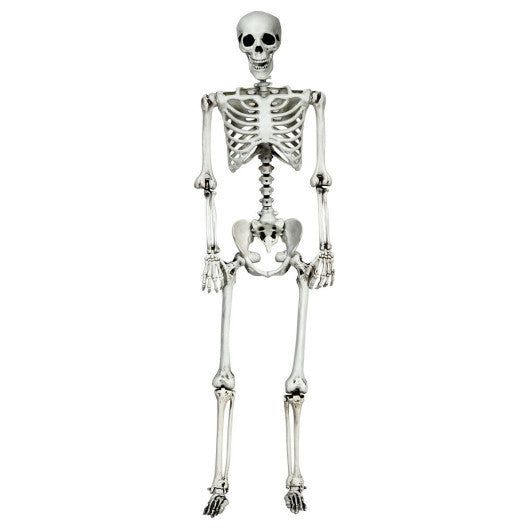 Costway 5.4ft Halloween Christmas Skeleton Life Size Realistic Full Body Hanging with Movable Joints 63 Inches