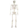 5.4 FT Halloween Skeleton Decoration Life Size Large Skeleton