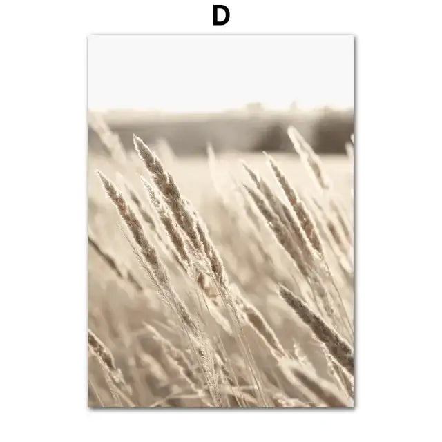Coastal beige grass canvas wall art bedroom decor