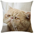 DecorBites™ Bubble Black Cats Cat Pillow Cases Sofa Home Decor Custom Cushion Cover