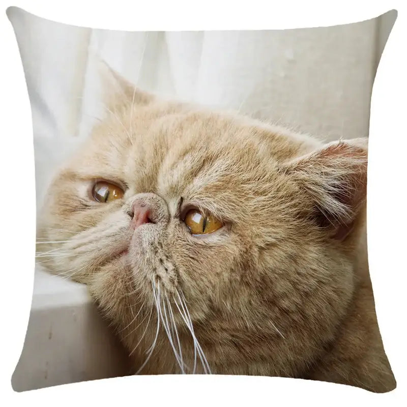 DecorBites™ Bubble Black Cats Cat Pillow Cases Sofa Home Decor Custom Cushion Cover
