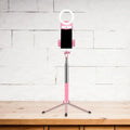 Contemporary pink phone holder with led ring light bedroom fixture