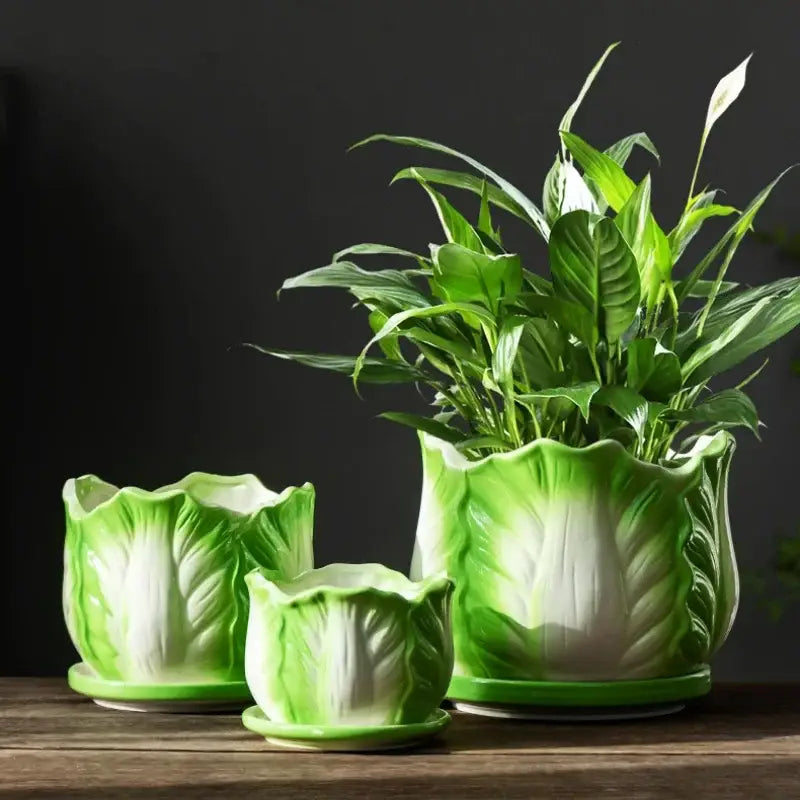 Creative green & white ceramic cabbage flowerpot – indoor garden basin