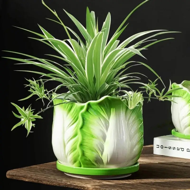 Creative green & white ceramic cabbage flowerpot – indoor garden basin