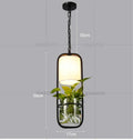 Industrial black iron cage pendant light with plant holder dining room