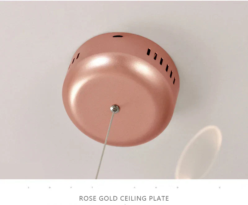 Modern rose gold & black branch design chandelier – living room light