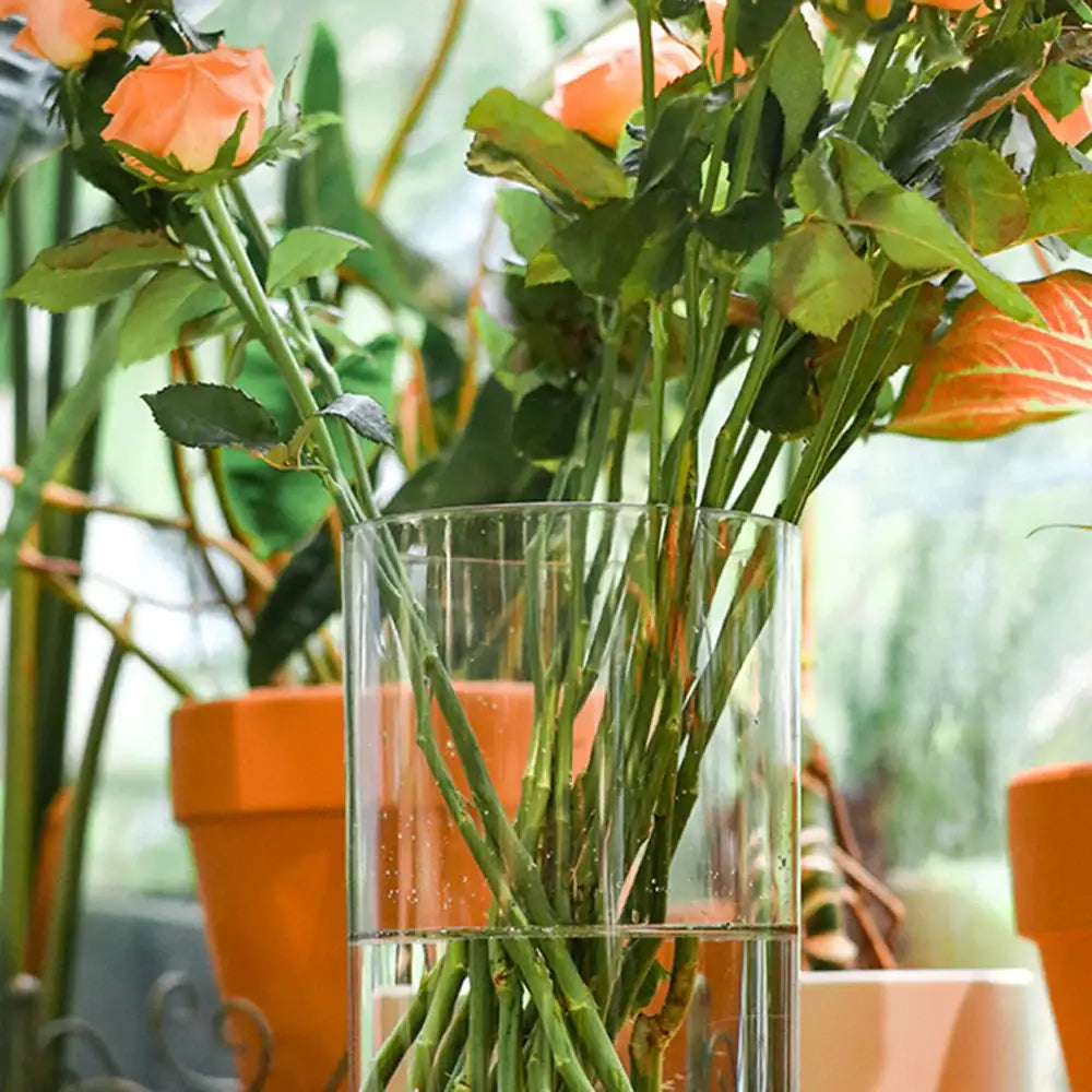 Modern clear acrylic hurricane flower vase dining room centerpiece