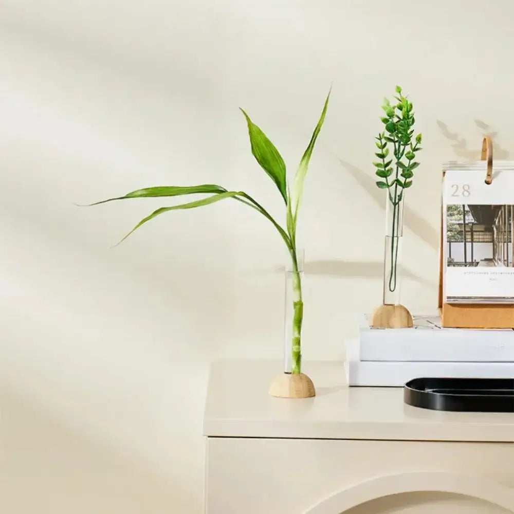 Minimalist wood and plastic test tube vase living room decor