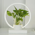 Modern white circular led ring lamp with glass plant cup bedroom