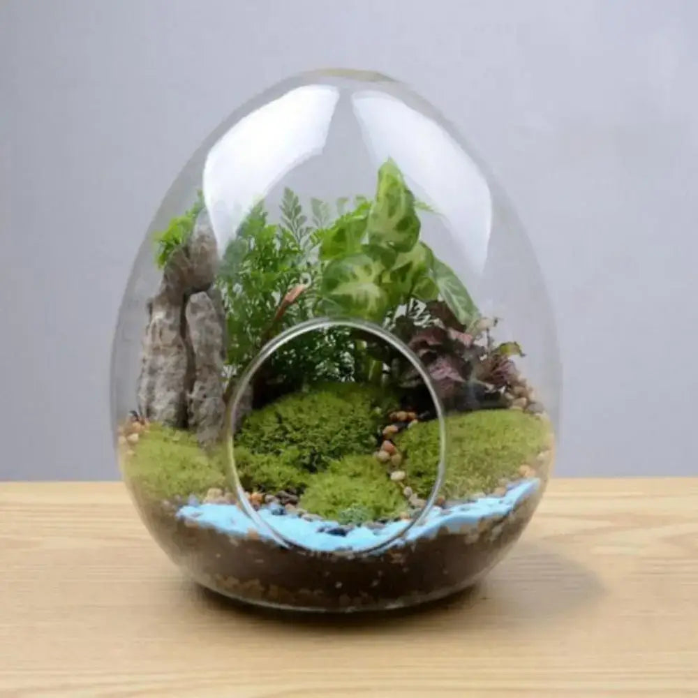 High quality glass egg-shaped terrarium set for living room decor