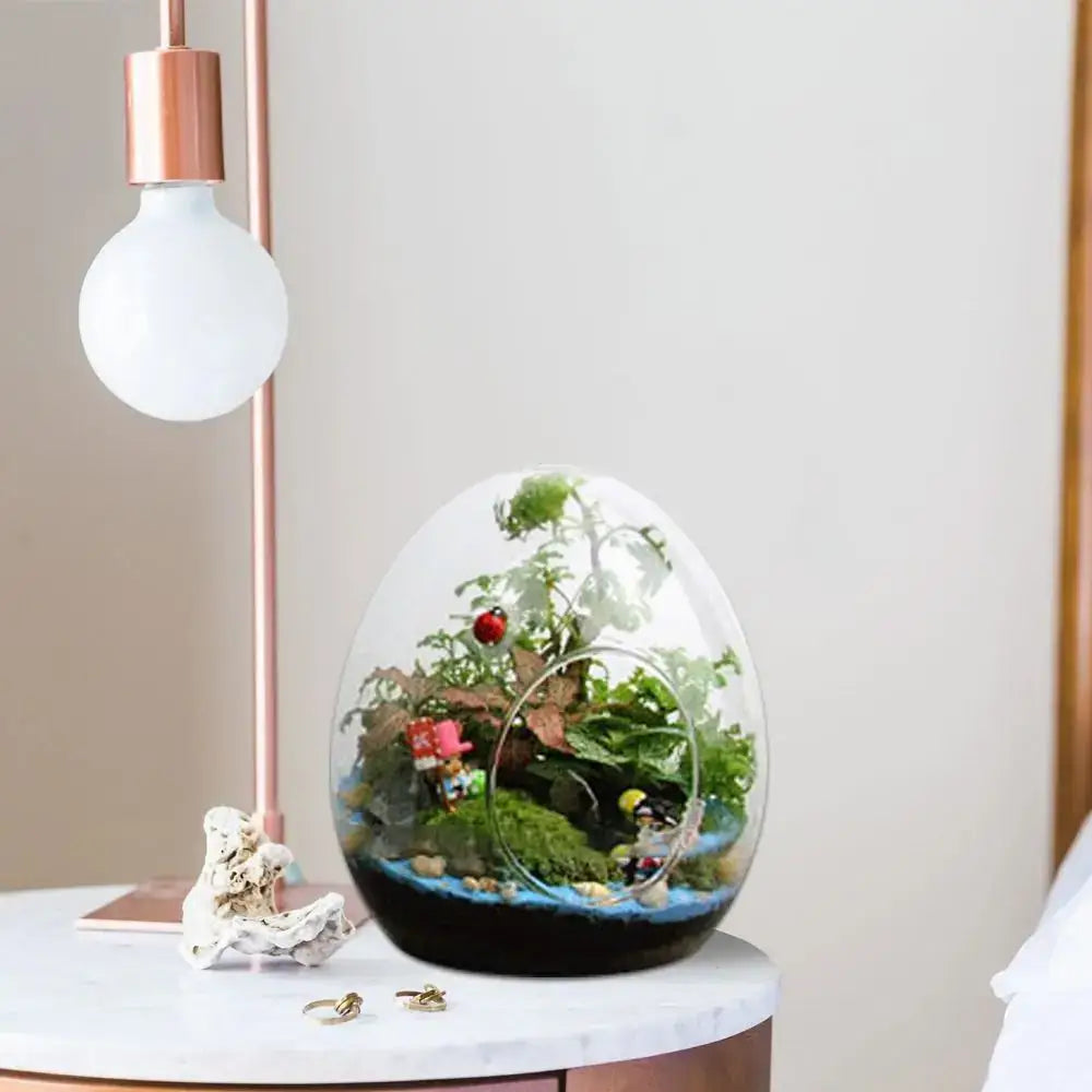 High quality glass egg-shaped terrarium set for living room decor